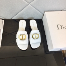 Christian Dior Slippers